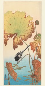 Ballerina e Loto, c.1915 da Ohara Koson